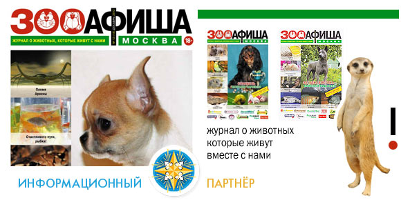 adv-infs-zooafisha-580