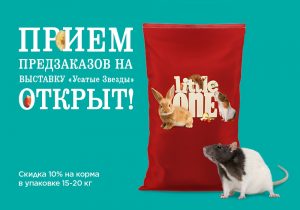 Little One заказ