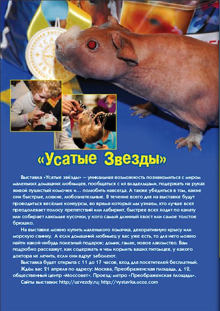 SMI-Svirelka-04-2012-1