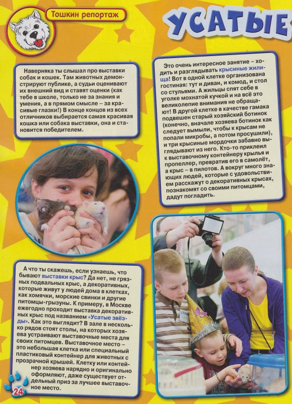 SMI-Toshka-11-2012-1