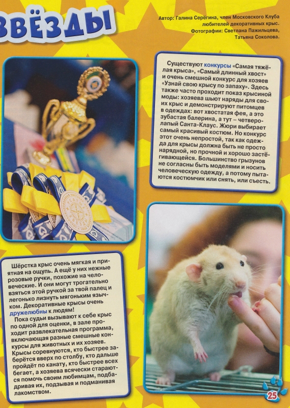 SMI-Toshka-11-2012-2