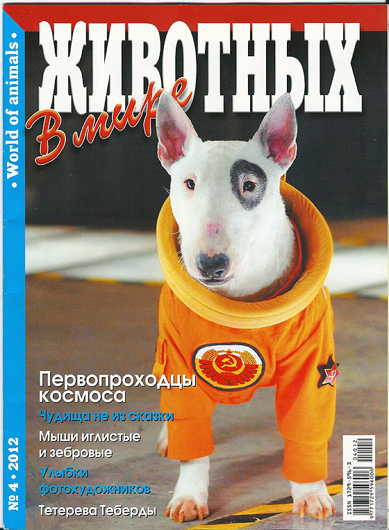 V-mire-jivotnih-04-12-1sm