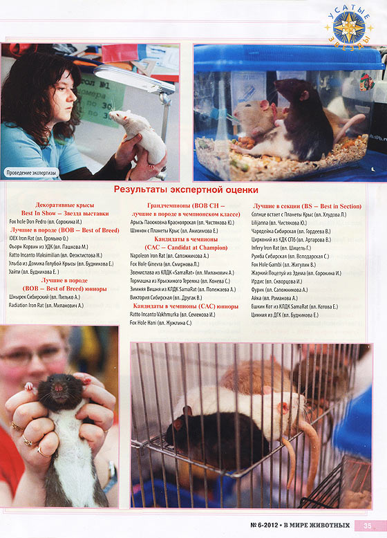 V-mire-jivotnih-06-12-4sm