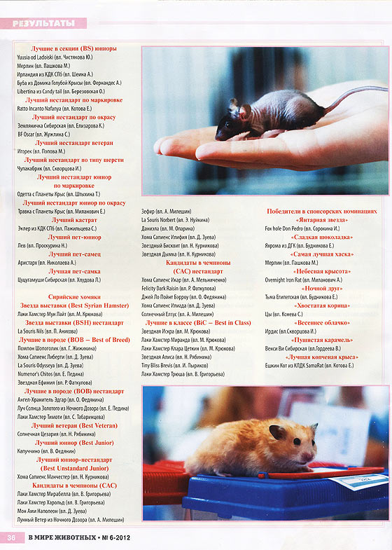 V-mire-jivotnih-06-12-5sm