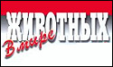 В мире животных