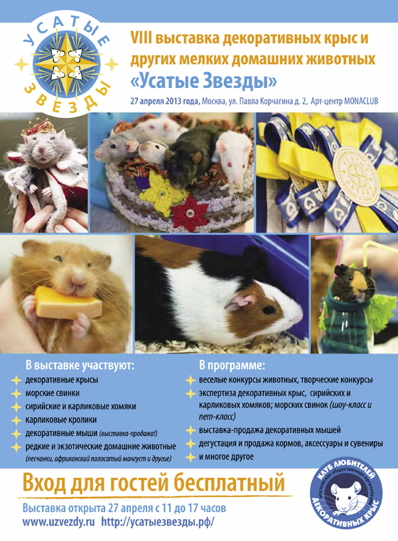 Реклама VIII выставки в СМИ (модули и информация)