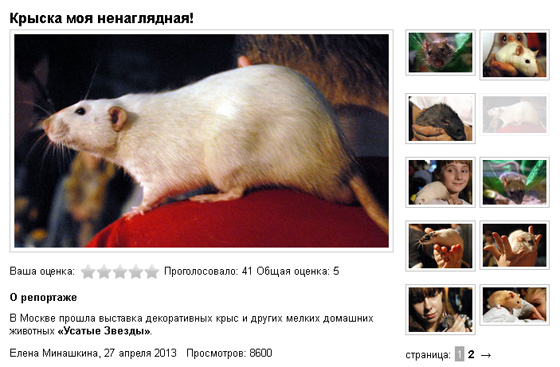 Московский комсомолец (МК). Апрель 2013