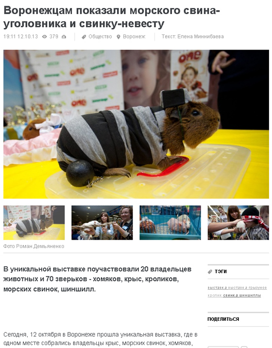 РИА Воронеж. Репортаж с выставки, октябрь 2013