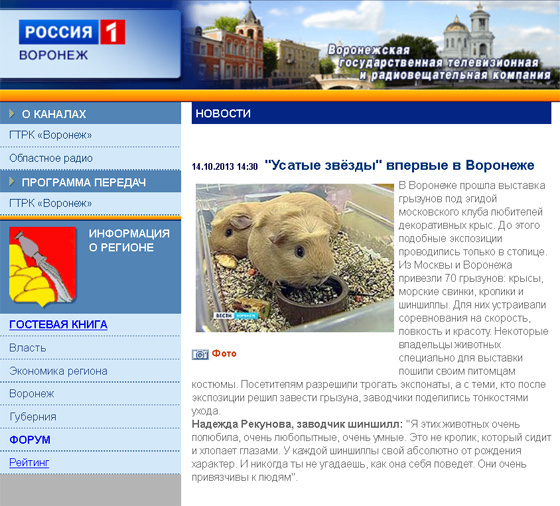 ВГТРК Воронеж. ТВ-репортаж в прямом эфире. Октябрь 2013