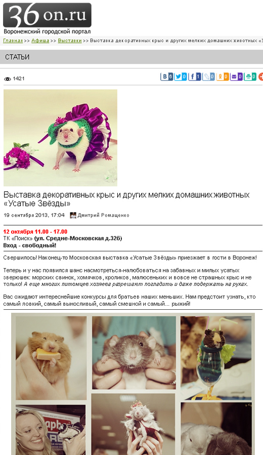 36 on. Воронежский городской портал. Анонс октябрь 2013