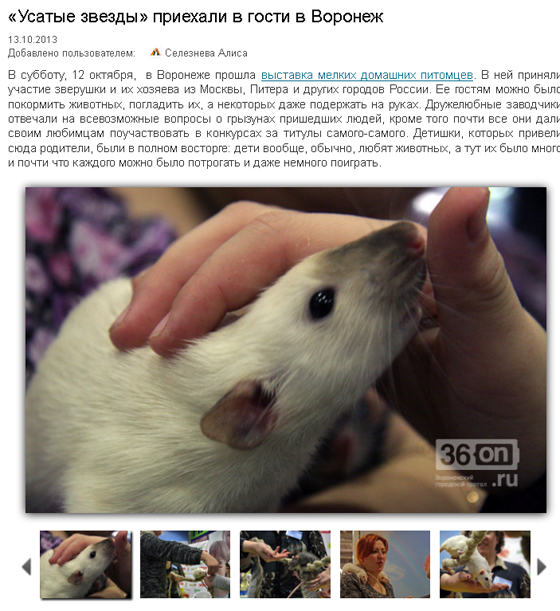36 on. Воронежский городской портал. Репортаж с выставки, октябрь 2013