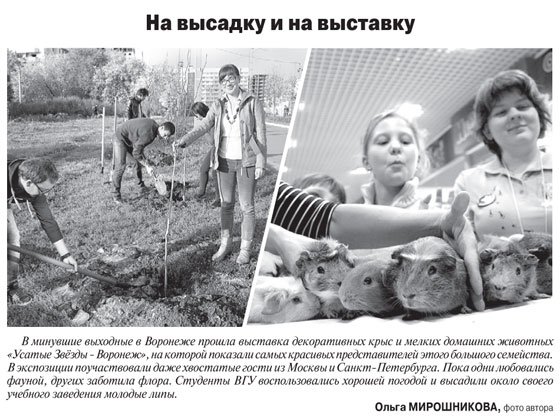 Аргументы и факты Воронеж. Октябрь 2013