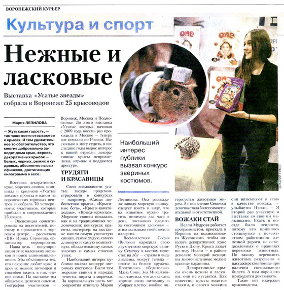 Воронежский курьер. Репортаж с выставки, октябрь 2013