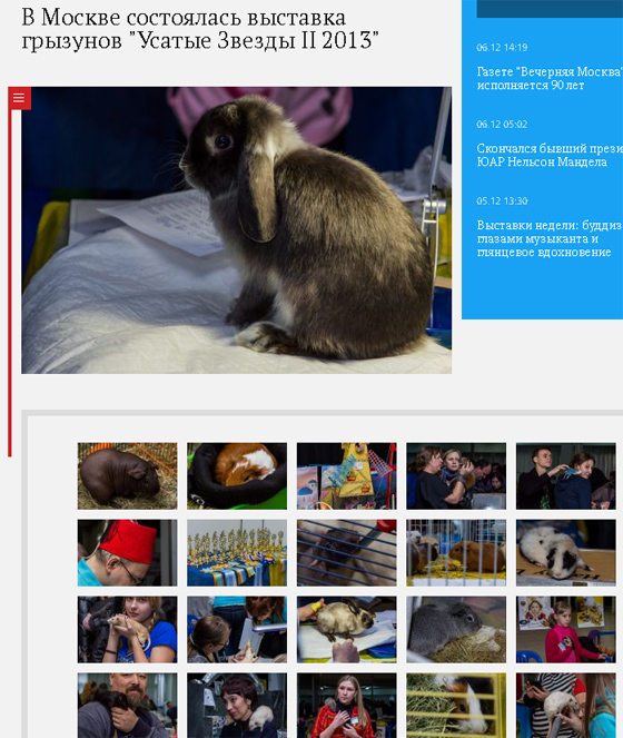 Москва 24. Фоторепортаж с выставки