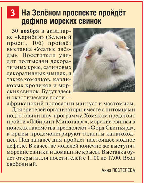 Восточный округ. УЗ-10.