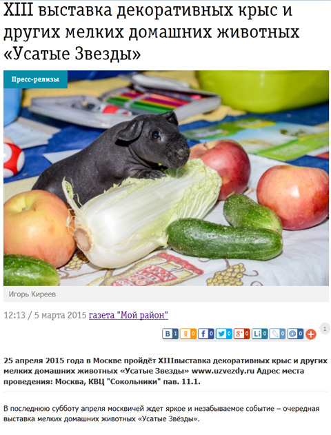 Газета «Мой район», УЗ-XIII