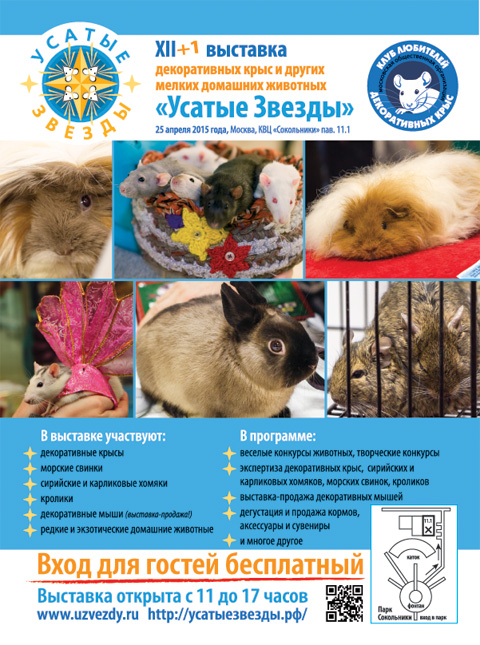 Публикации о XIII выставке «Усатые звезды»