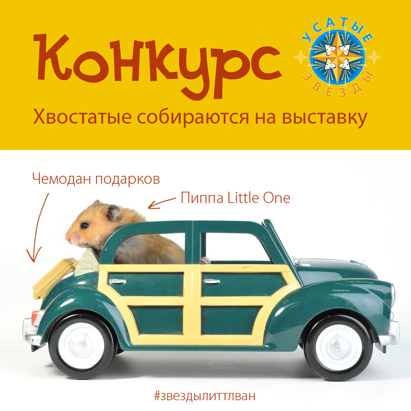 Конкурс Little One