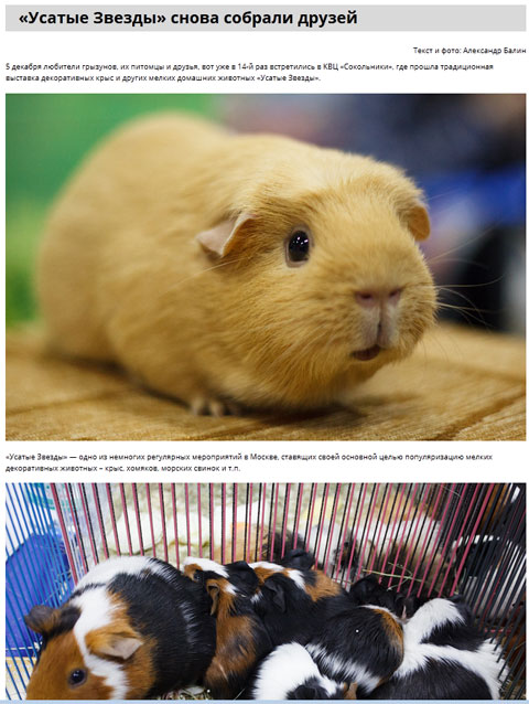 Русский блогер. УЗ-XIV