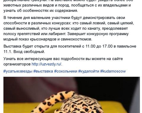 Kuda Moscow. Усатые Звезды-XV