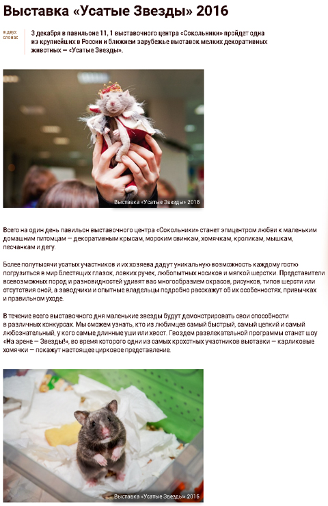 Kuda Moscow о выставке УЗ-XVII