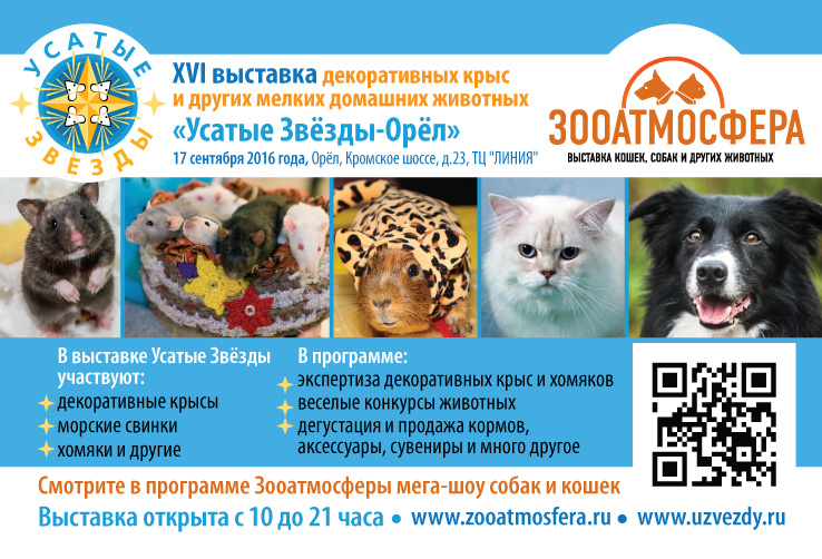 Публикации о XVI выставке «Усатые звёзды»
