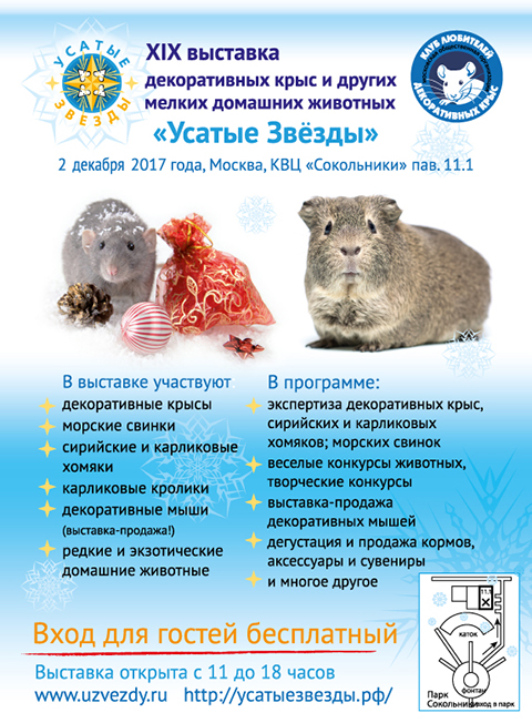Публикации о XIX выставке «Усатые звёзды»