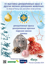 УСАТЫЕ ЗВЁЗДЫ - XII