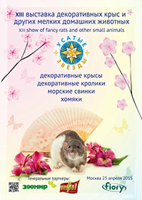 УСАТЫЕ ЗВЁЗДЫ - XIII