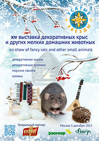 УСАТЫЕ ЗВЁЗДЫ - XIV