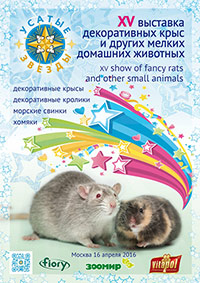 УСАТЫЕ ЗВЁЗДЫ - XV