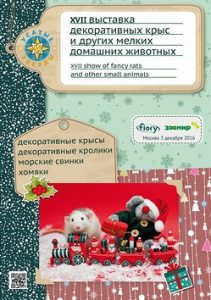 УСАТЫЕ ЗВЁЗДЫ - XVII