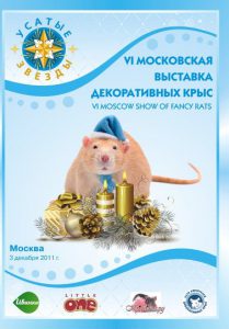 УСАТЫЕ ЗВЁЗДЫ - VI