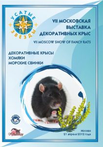 УСАТЫЕ ЗВЁЗДЫ - VII