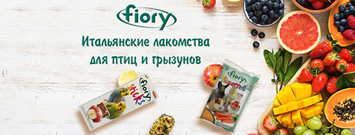 Fiory