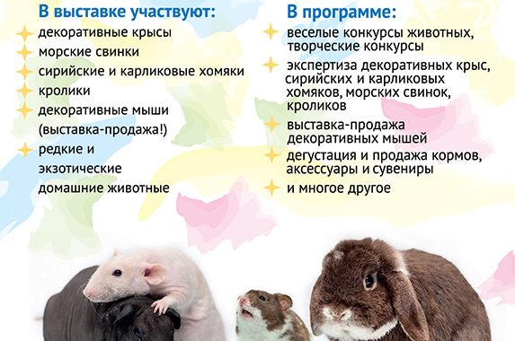 Публикации о XX выставке «Усатые звёзды»