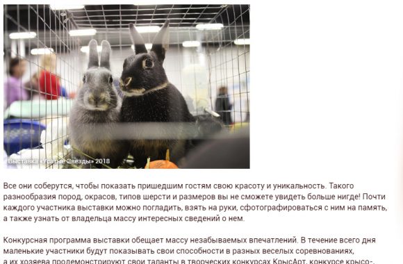 Kuda Moscow о выставке Усатые Звёзды-XXI