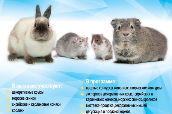 Публикации о XXI выставке «Усатые звёзды»