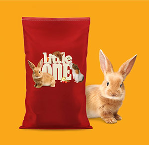 Little One заказ