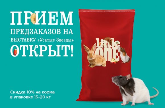 Little One заказ