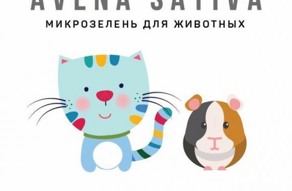 avena_sativa_zakaz