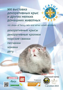 Усатые Звезды - XXI