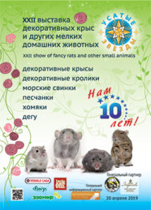 Усатые Звезды - XXII