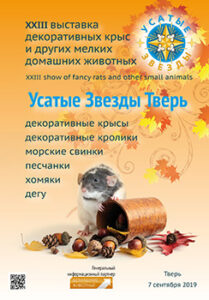 Усатые Звезды - XXIII Тверь