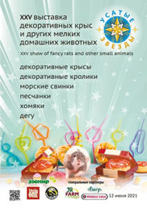 УСАТЫЕ ЗВЁЗДЫ - XXV