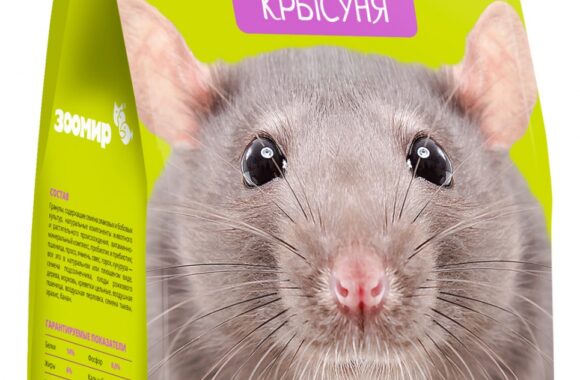 Зоомир Крысуня