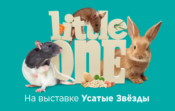 Литлван-новость