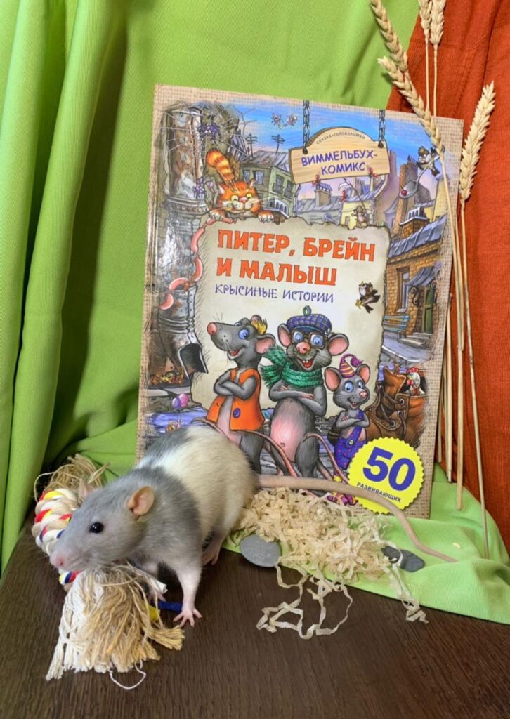 Юлия Школьник Питер, Брейн и Малыш