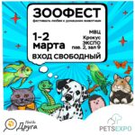 ЗООФЕСТ