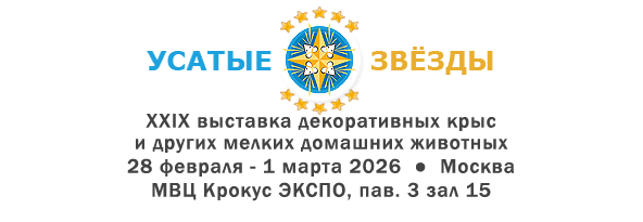 Усатые Звёзды XXIX